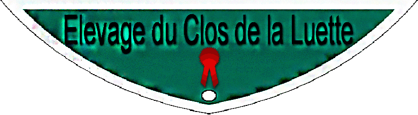 ELEVAGE DU CLOS DE A LUETTE ©